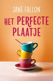 Omslag van Het perfecte plaatje
