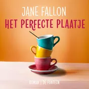 Omslag van Het perfecte plaatje