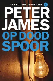 Omslag van Op dood spoor