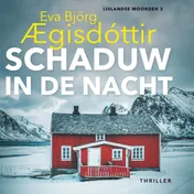 Omslag van Schaduw in de nacht