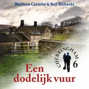 Omslag van Een dodelijk vuur