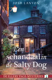 Omslag van Een schandaal in de Salty Dog