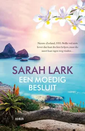Omslag van Een moedig besluit