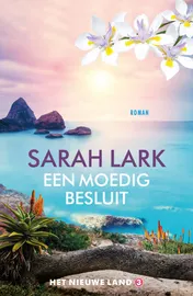 Omslag van Een moedig besluit
