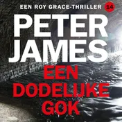 Omslag van Een dodelijke gok