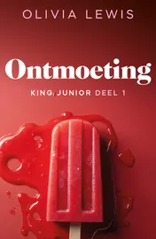 Omslag van Ontmoeting