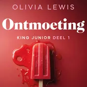 Omslag van Ontmoeting