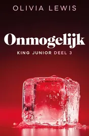 Omslag van Onmogelijk