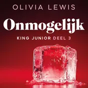 Omslag van Onmogelijk