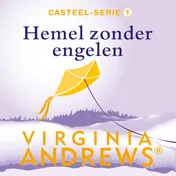 Omslag van Hemel zonder engelen