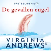 Omslag van De gevallen engel