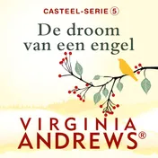 Omslag van De droom van een engel
