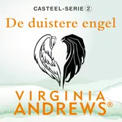 Omslag van De duistere engel