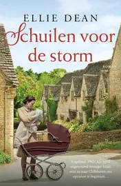 Omslag van Schuilen voor de storm