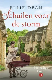 Omslag van Schuilen voor de storm