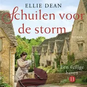 Omslag van Schuilen voor de storm