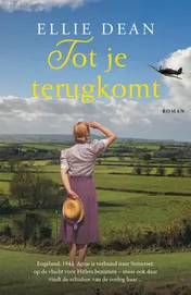 Omslag van Tot je terugkomt