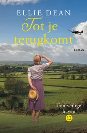 Omslag van Tot je terugkomt