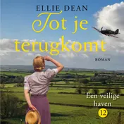 Omslag van Tot je terugkomt
