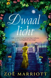 Omslag van Dwaallicht