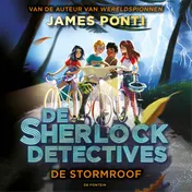 Omslag van De stormroof