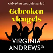 Omslag van Gebroken vleugels