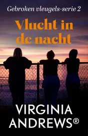 Omslag van Vlucht in de nacht
