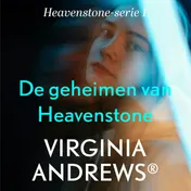 Omslag van De geheimen van Heavenstone