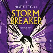 Omslag van Storm Breaker