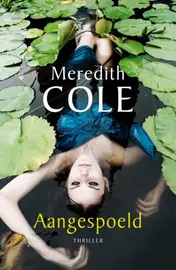 Omslag van Aangespoeld