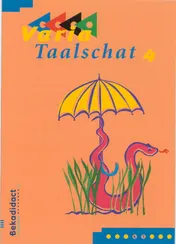 Omslag van Taalschat 4