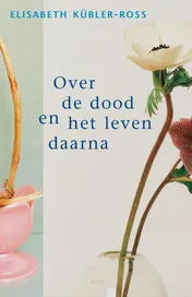 Omslag van Over de dood en het leven daarna