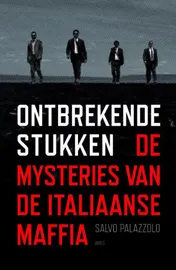 Omslag van Ontbrekende stukken