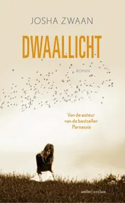 Omslag van Dwaallicht