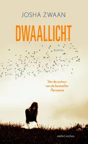 Omslag van Dwaallicht