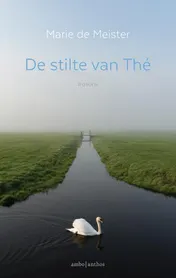 Omslag van De stilte van Thé