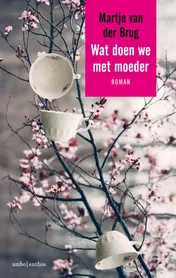 Omslag van Wat doen we met moeder