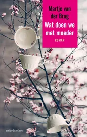 Omslag van Wat doen we met moeder