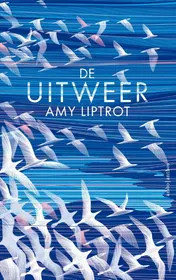 Omslag van De uitweer
