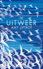 Omslag van De uitweer