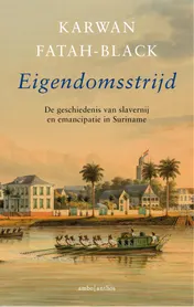 Omslag van Eigendomsstrijd