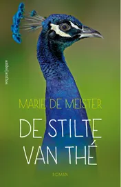 Omslag van De stilte van Thé