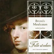 Omslag van Felle streken