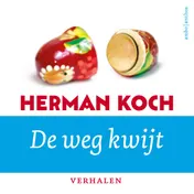Omslag van De weg kwijt