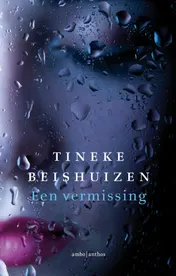 Omslag van Een vermissing
