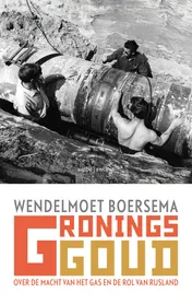 Omslag van Gronings goud