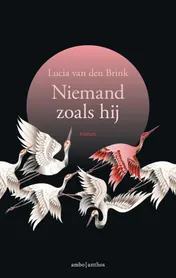 Omslag van Niemand zoals hij