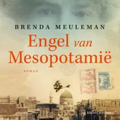 Omslag van Engel van Mesopotamië