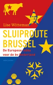Omslag van Sluiproute Brussel