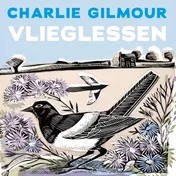 Omslag van Vlieglessen